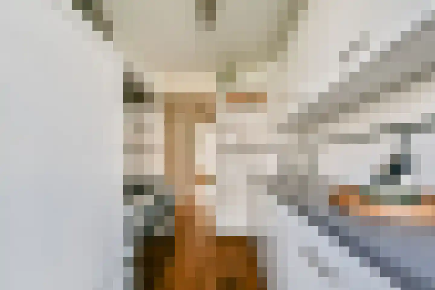Cornelis Springerstraat 23 2 Amsterdam thumbnail 12