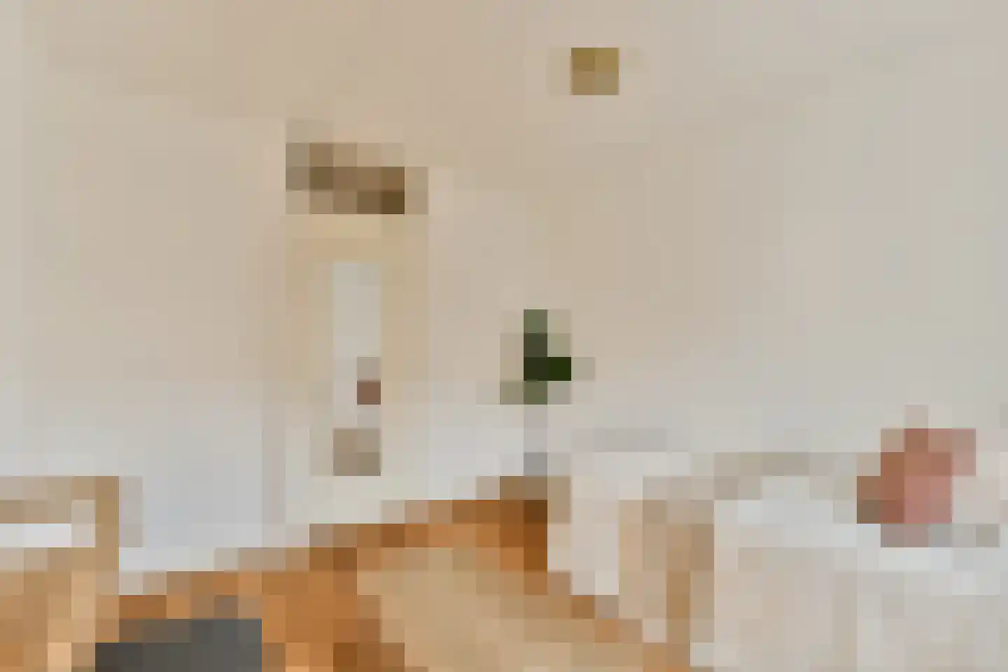 Cornelis Springerstraat 23 2 Amsterdam thumbnail 19