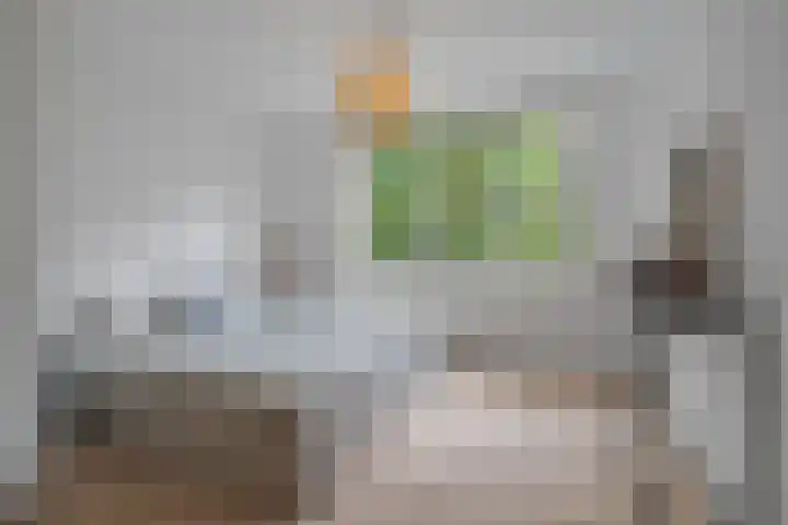 Cornelis Springerstraat 29 2 Amsterdam thumbnail 14