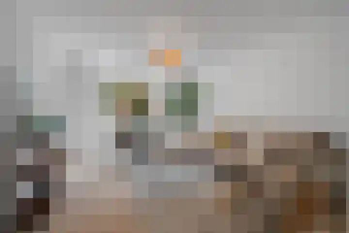 Cornelis Springerstraat 29 2 Amsterdam foto 2