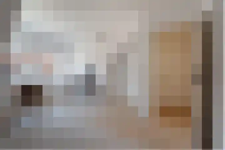 Cornelis Springerstraat 29 2 Amsterdam thumbnail 30