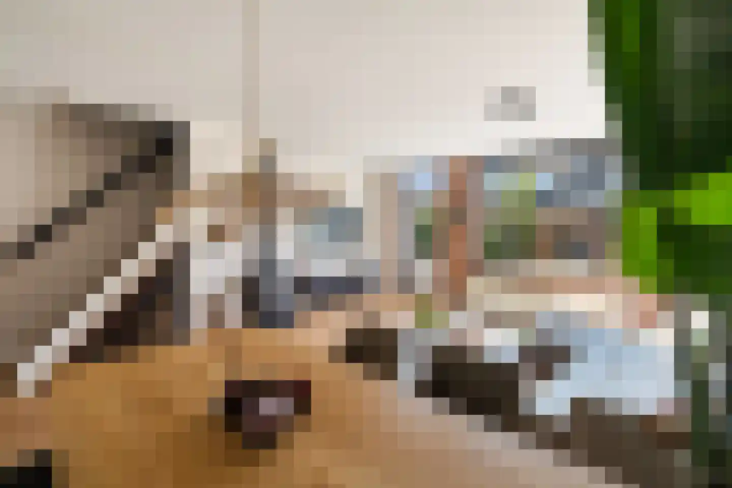 Cornelis Spronghplantsoen 16 Hoogmade thumbnail 11