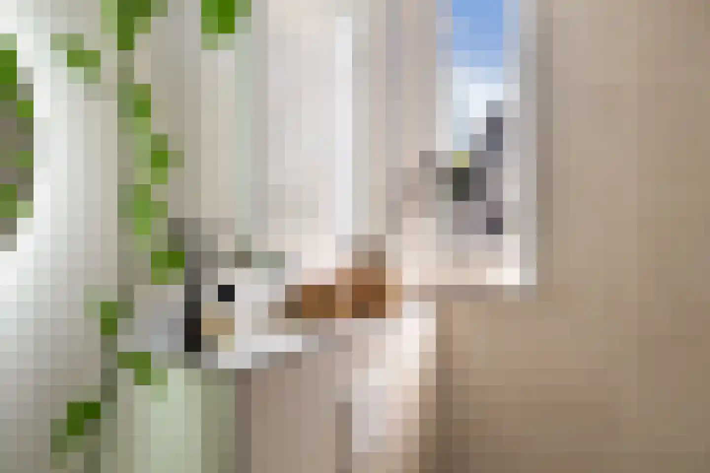 Cornelis Spronghplantsoen 16 Hoogmade thumbnail 36