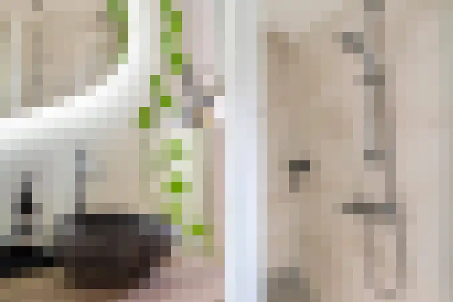 Cornelis Spronghplantsoen 16 Hoogmade thumbnail 37