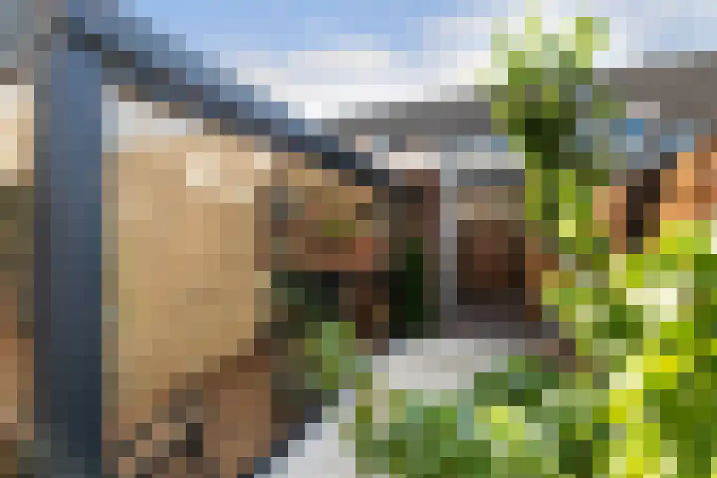 Cornelis Spronghplantsoen 16 Hoogmade thumbnail 43