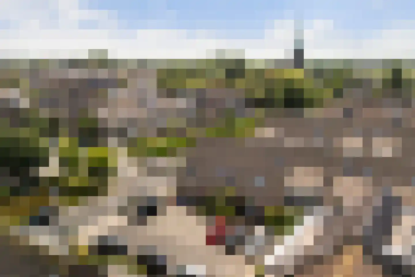 Cornelis Spronghplantsoen 16 Hoogmade thumbnail 47