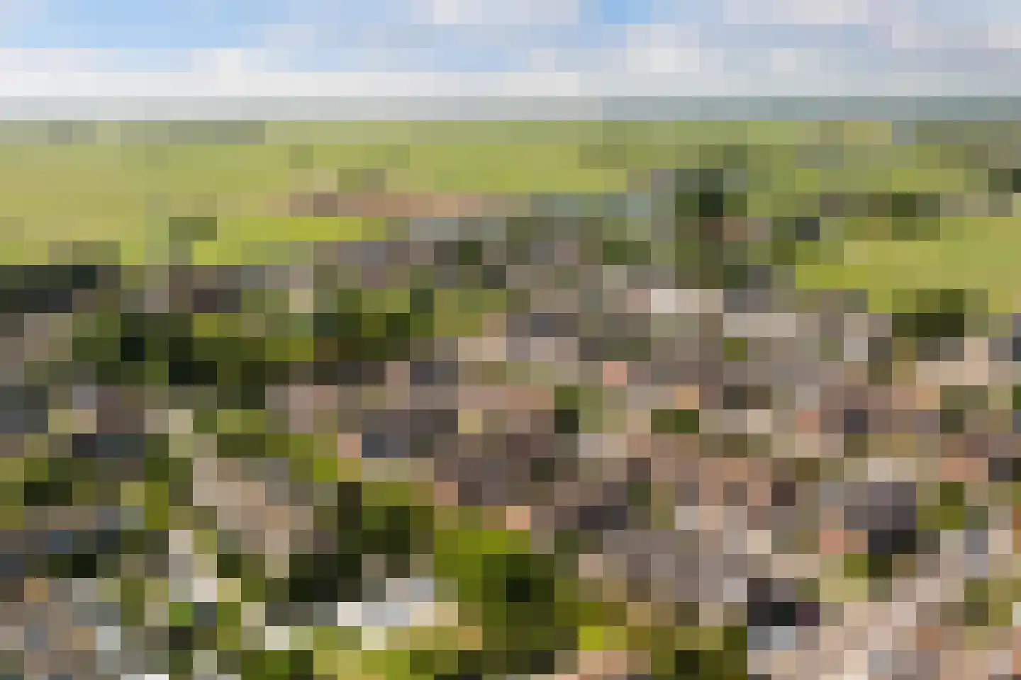 Cornelis Spronghplantsoen 16 Hoogmade thumbnail 5