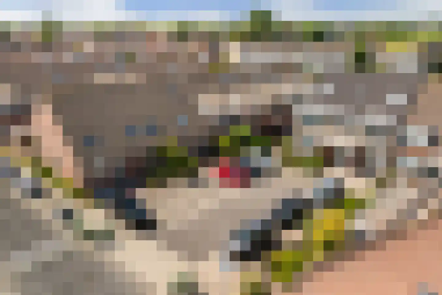 Cornelis Spronghplantsoen 16 Hoogmade thumbnail 50