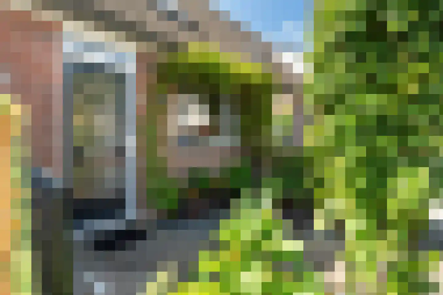 Cornelis Spronghplantsoen 16 Hoogmade thumbnail 7