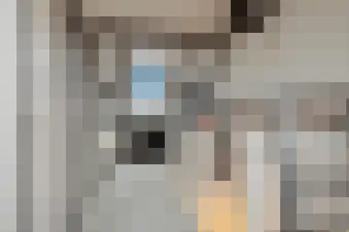 Cornelis Spronghplantsoen 35 Hoogmade thumbnail 17