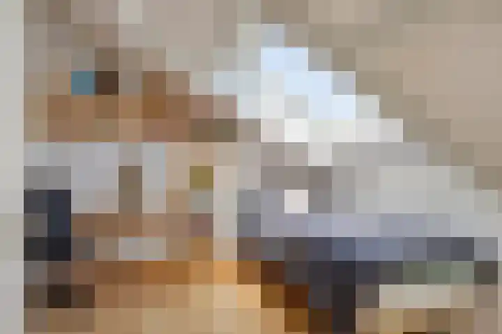 Cornelis Sterrenburgstraat 88 Hoek van Holland thumbnail 46