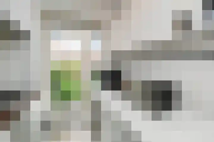 Cornelis Suyslaan 24 Rijswijk thumbnail 10