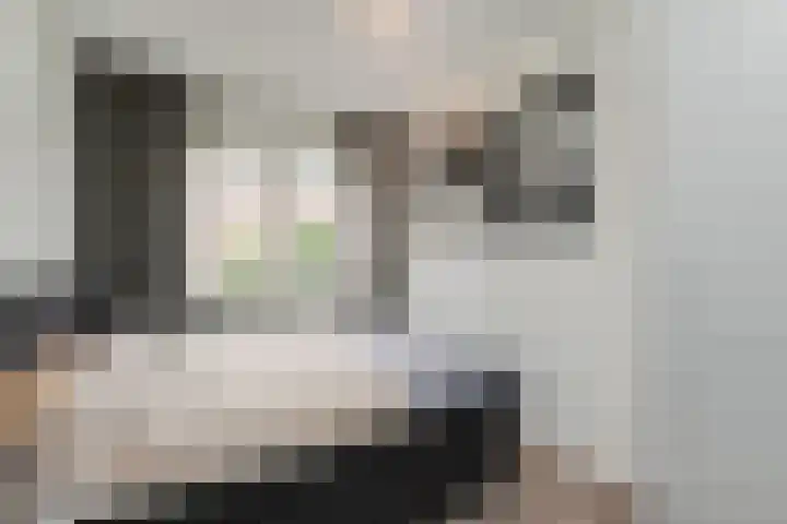 Cornelis Suyslaan 24 Rijswijk thumbnail 14