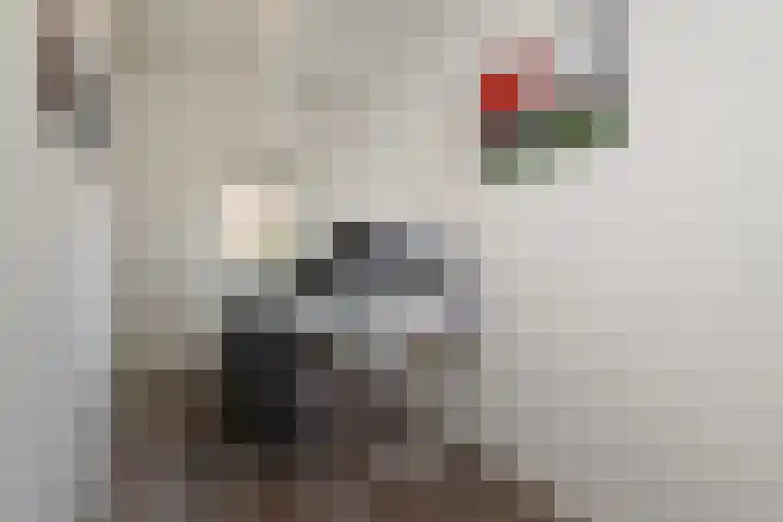 Cornelis Suyslaan 24 Rijswijk thumbnail 15