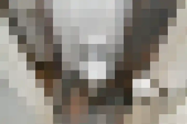 Cornelis Suyslaan 24 Rijswijk thumbnail 18
