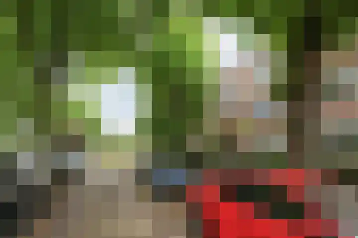 Cornelis Suyslaan 24 Rijswijk thumbnail 21