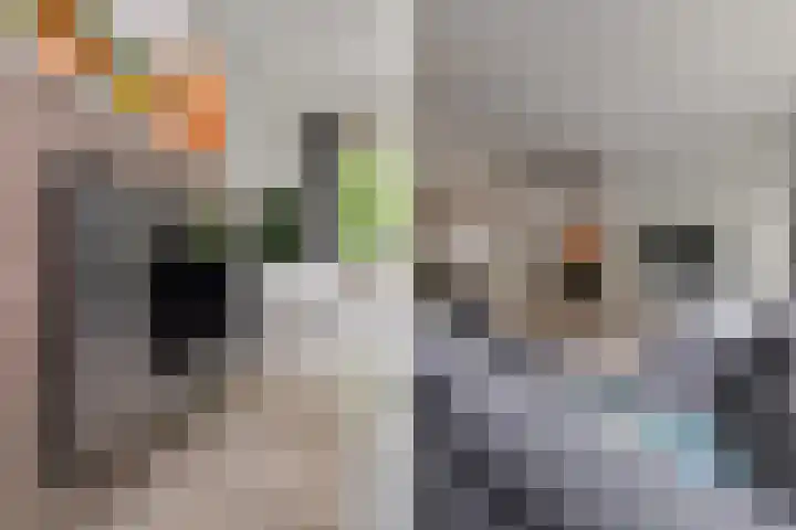 Cornelis Suyslaan 24 Rijswijk thumbnail 4