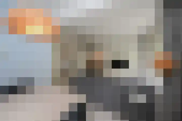 Cornelis Suyslaan 24 Rijswijk thumbnail 6