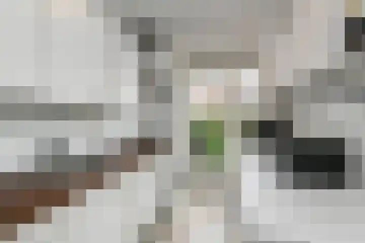 Cornelis Suyslaan 24 Rijswijk thumbnail 9