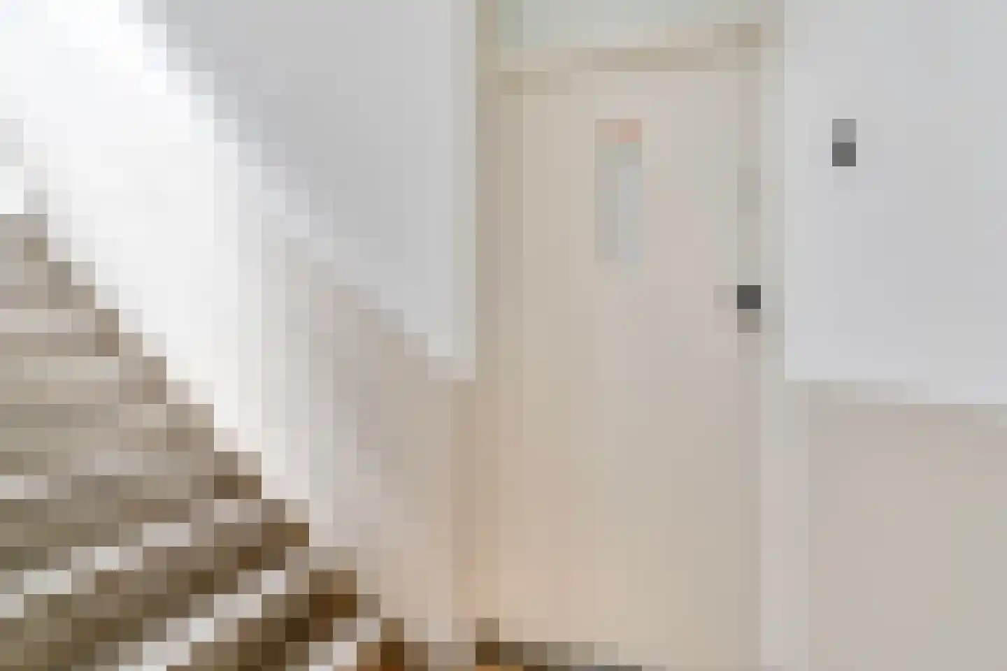Cornelis Suyslaan 27 Rijswijk thumbnail 22