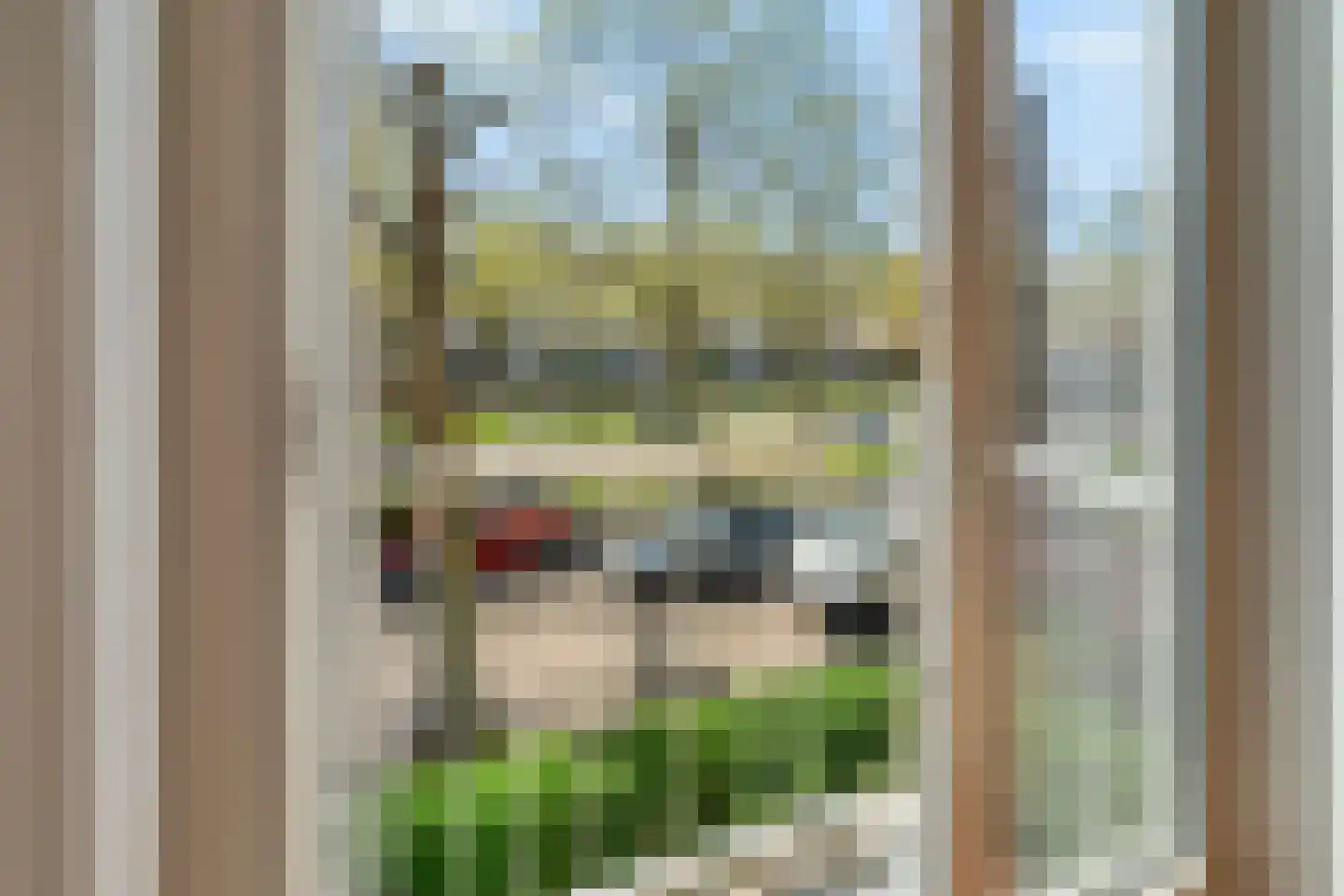 Cornelis Suyslaan 27 Rijswijk thumbnail 23