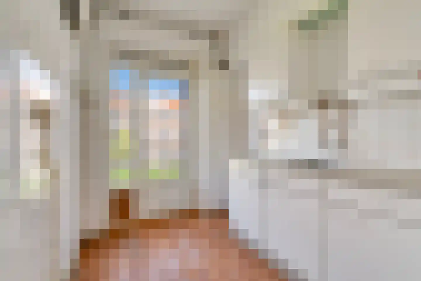 Cornelis Suyslaan 27 Rijswijk thumbnail 5