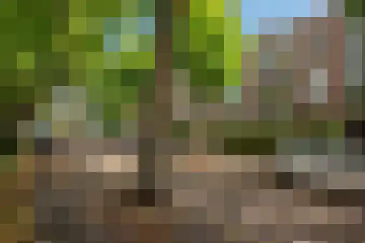 Cornelis Suyslaan 34 Rijswijk thumbnail 22
