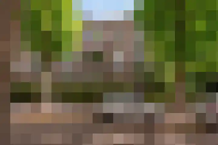 Cornelis Suyslaan 34 Rijswijk thumbnail 28
