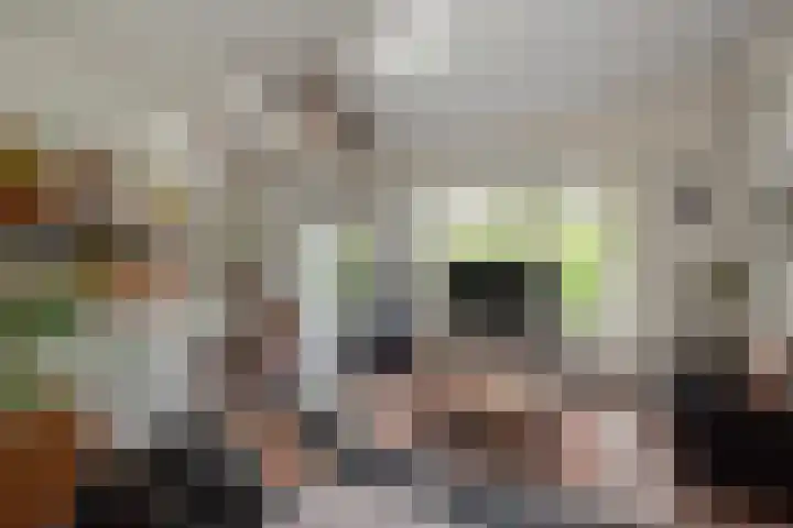 Cornelis Suyslaan 34 Rijswijk thumbnail 4