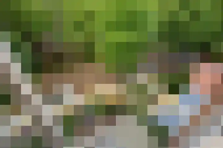 Cornelis Suyslaan 34 Rijswijk thumbnail 5