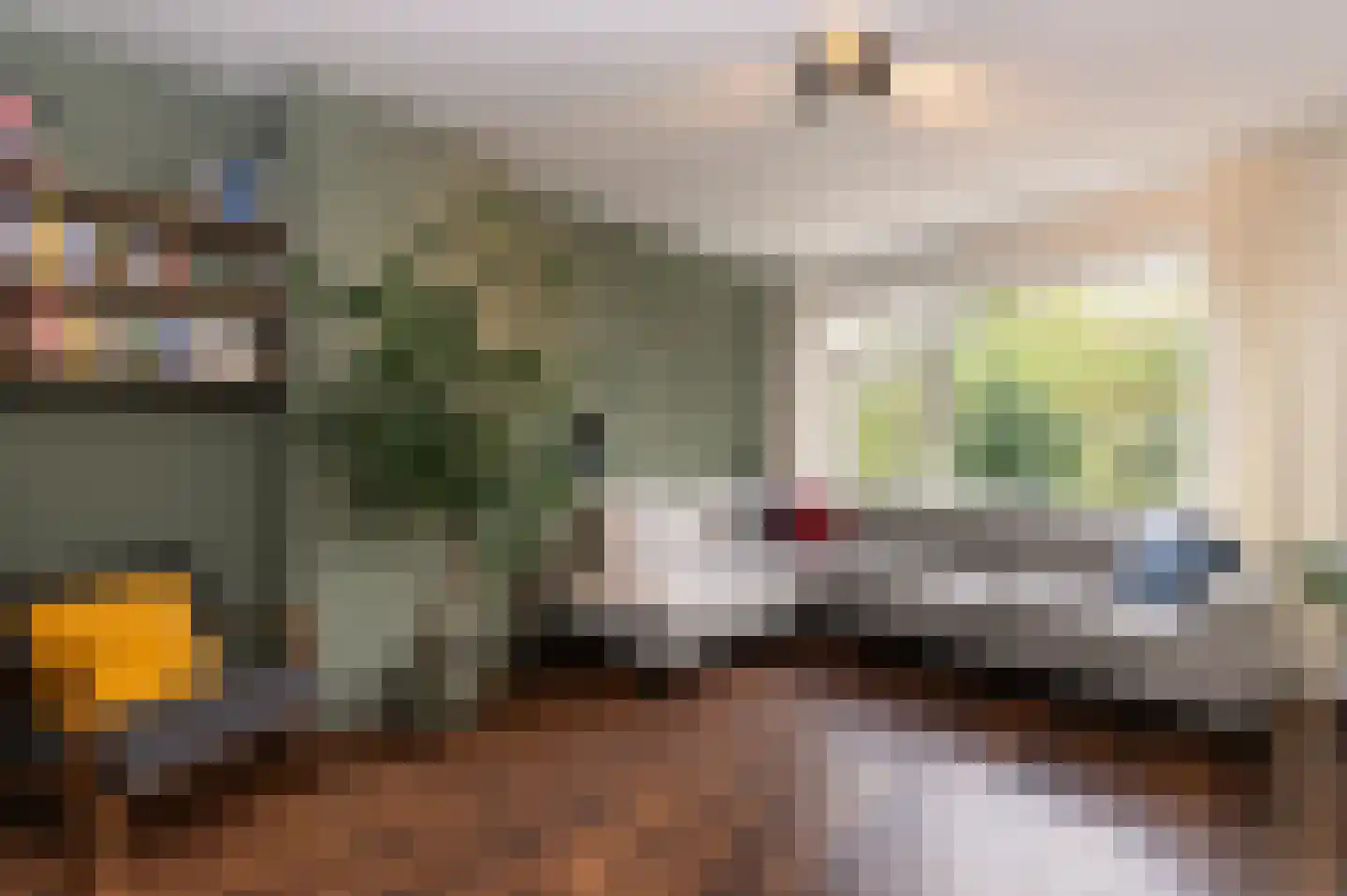 Cornelis Suyslaan 41 Rijswijk thumbnail 10