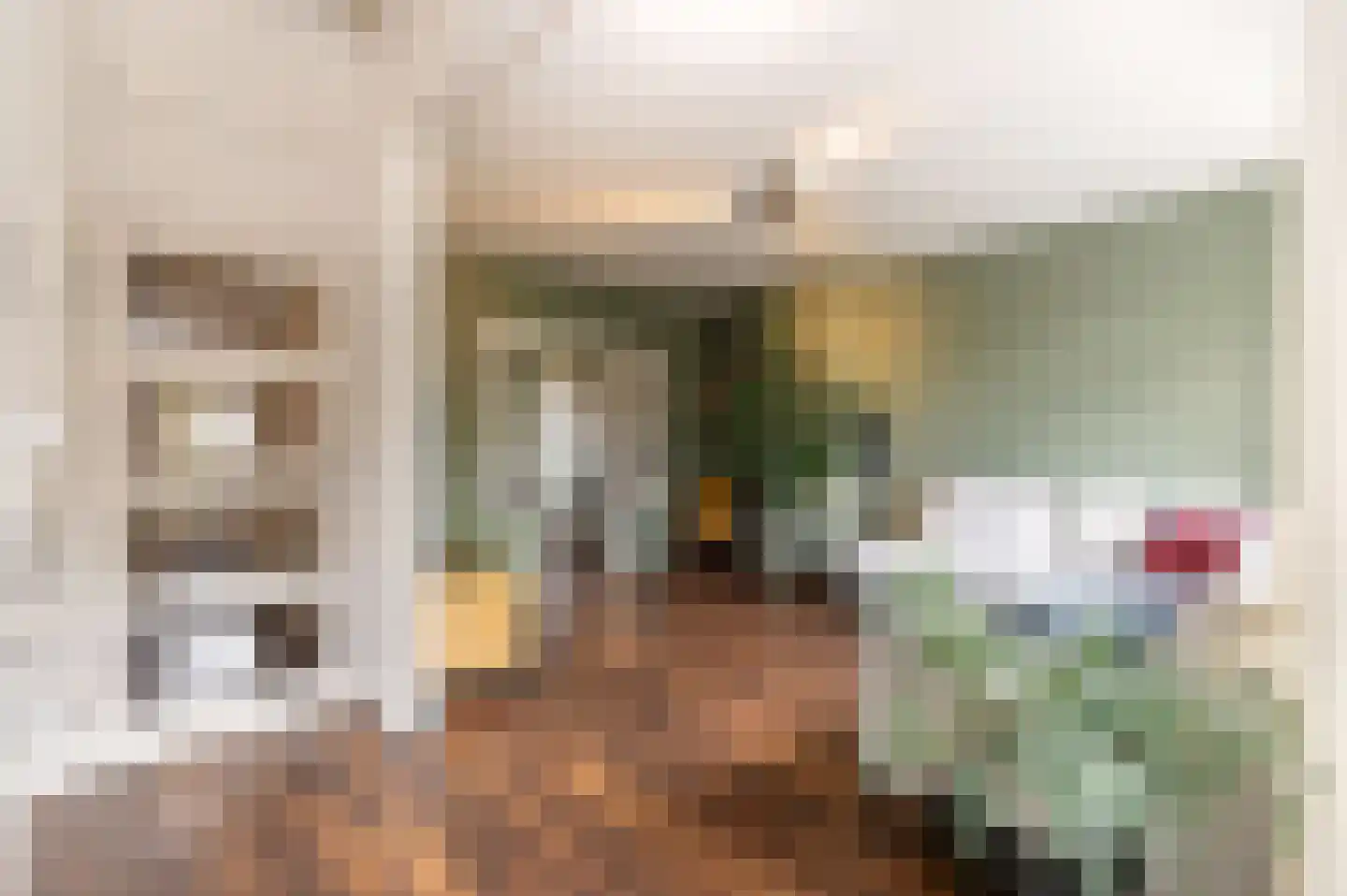 Cornelis Suyslaan 41 Rijswijk thumbnail 11