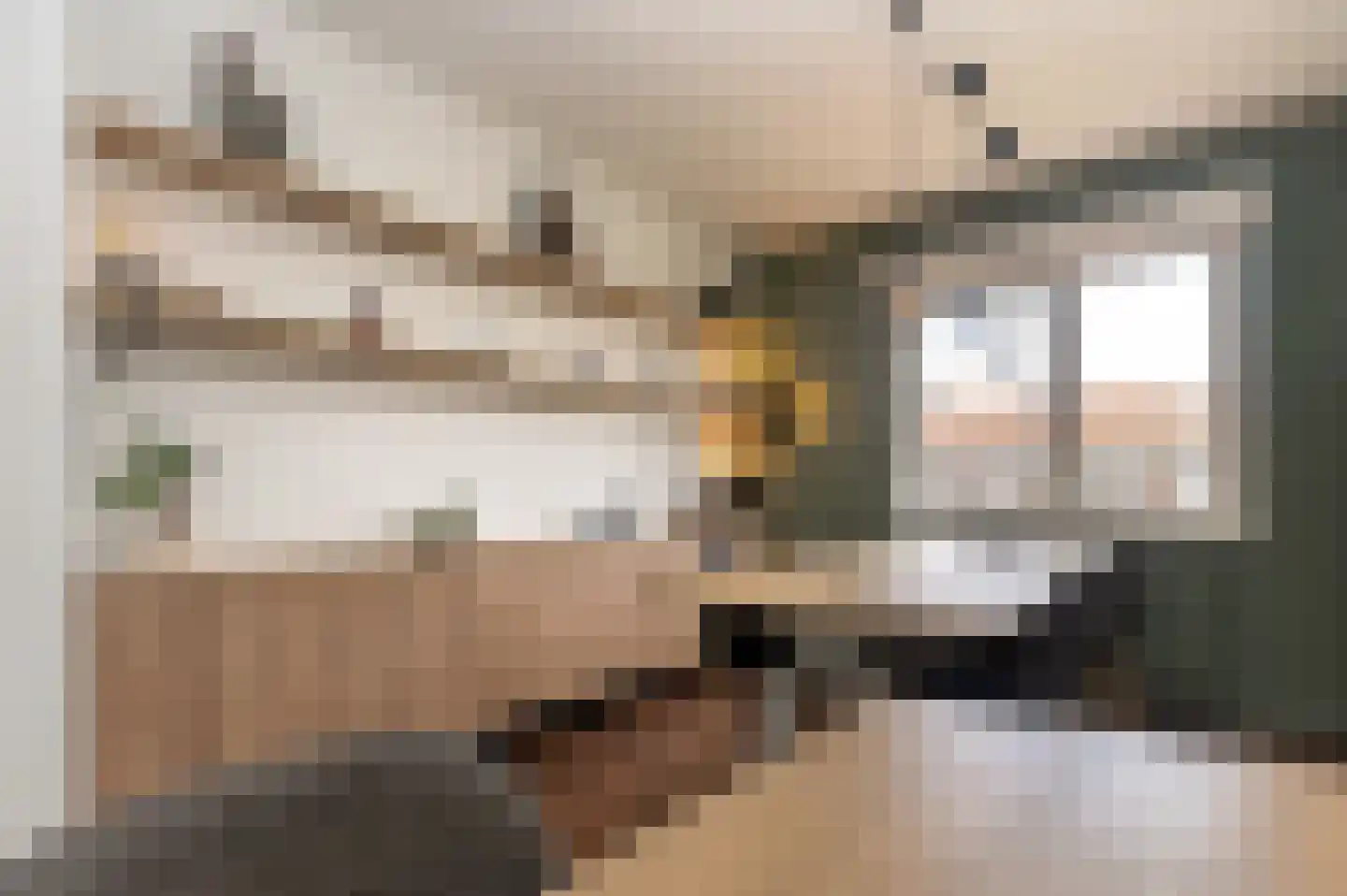 Cornelis Suyslaan 41 Rijswijk thumbnail 13