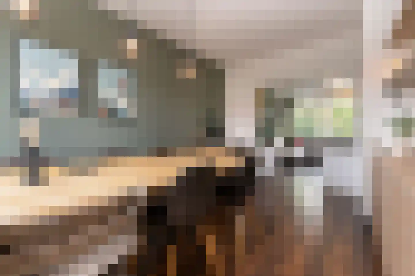 Cornelis Suyslaan 41 Rijswijk thumbnail 14