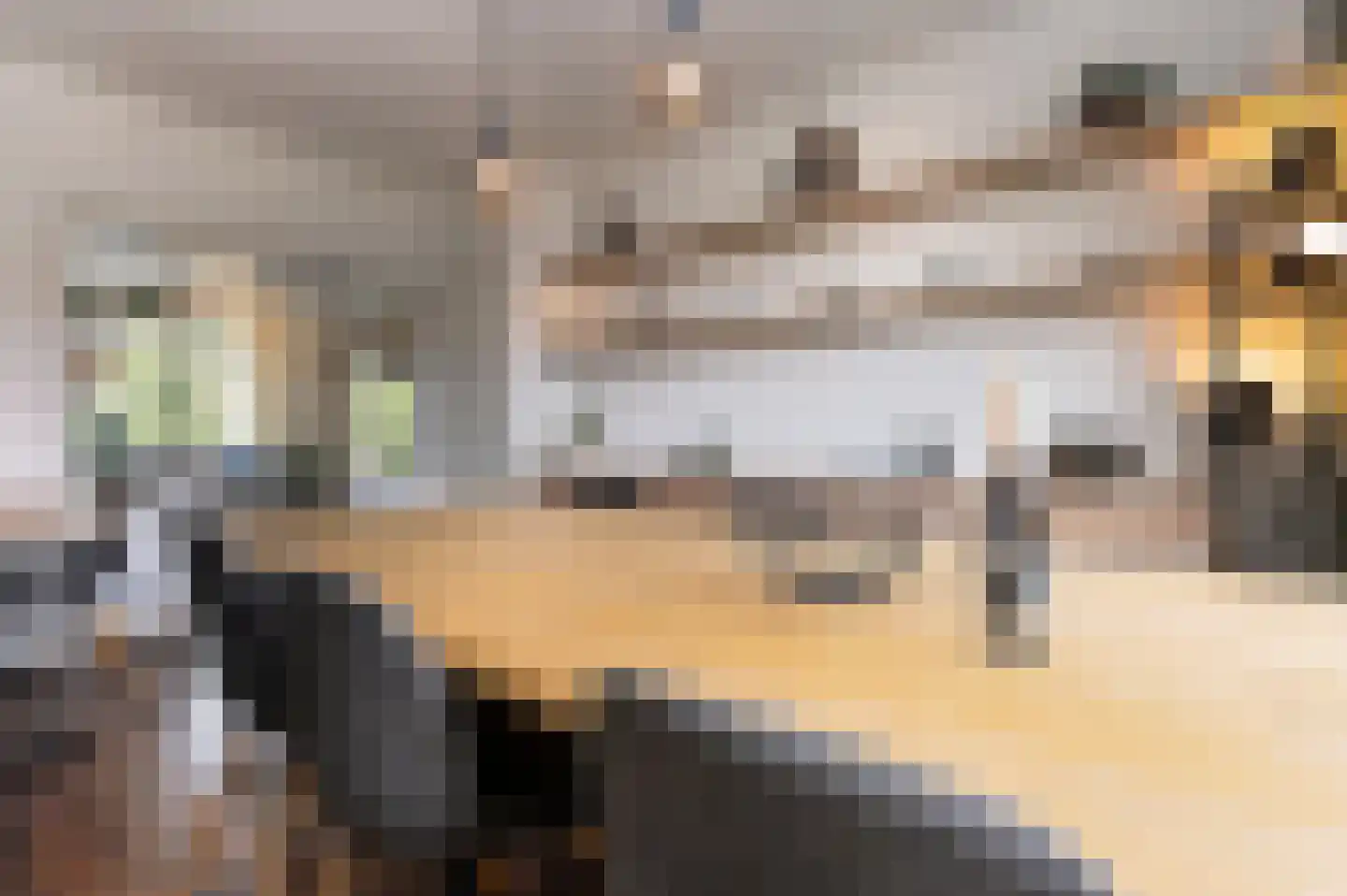 Cornelis Suyslaan 41 Rijswijk thumbnail 15