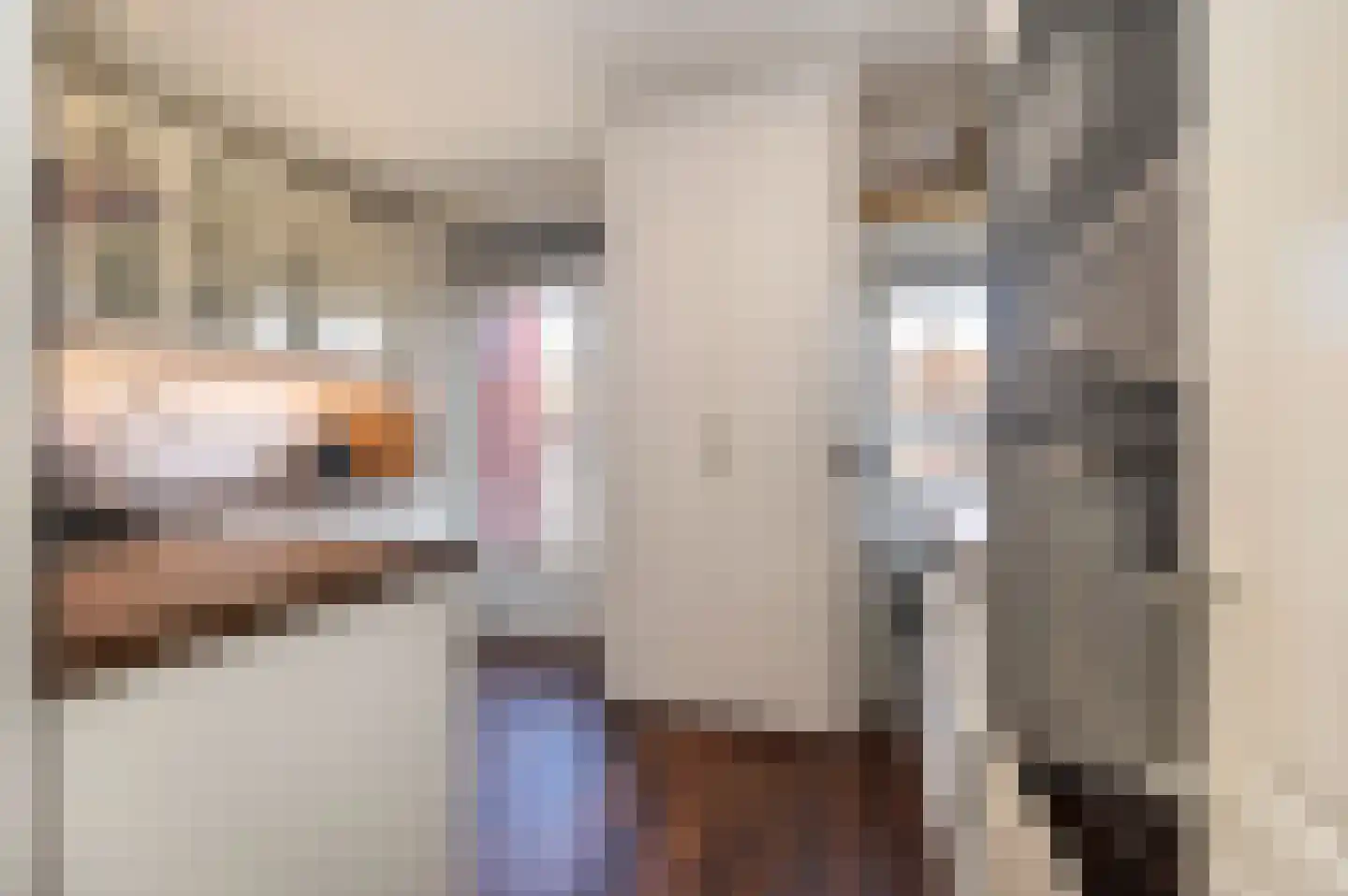 Cornelis Suyslaan 41 Rijswijk thumbnail 16