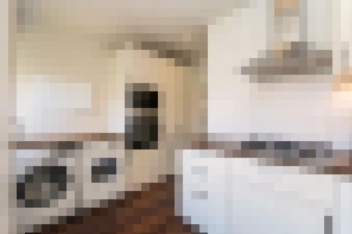 Cornelis Suyslaan 41 Rijswijk thumbnail 17