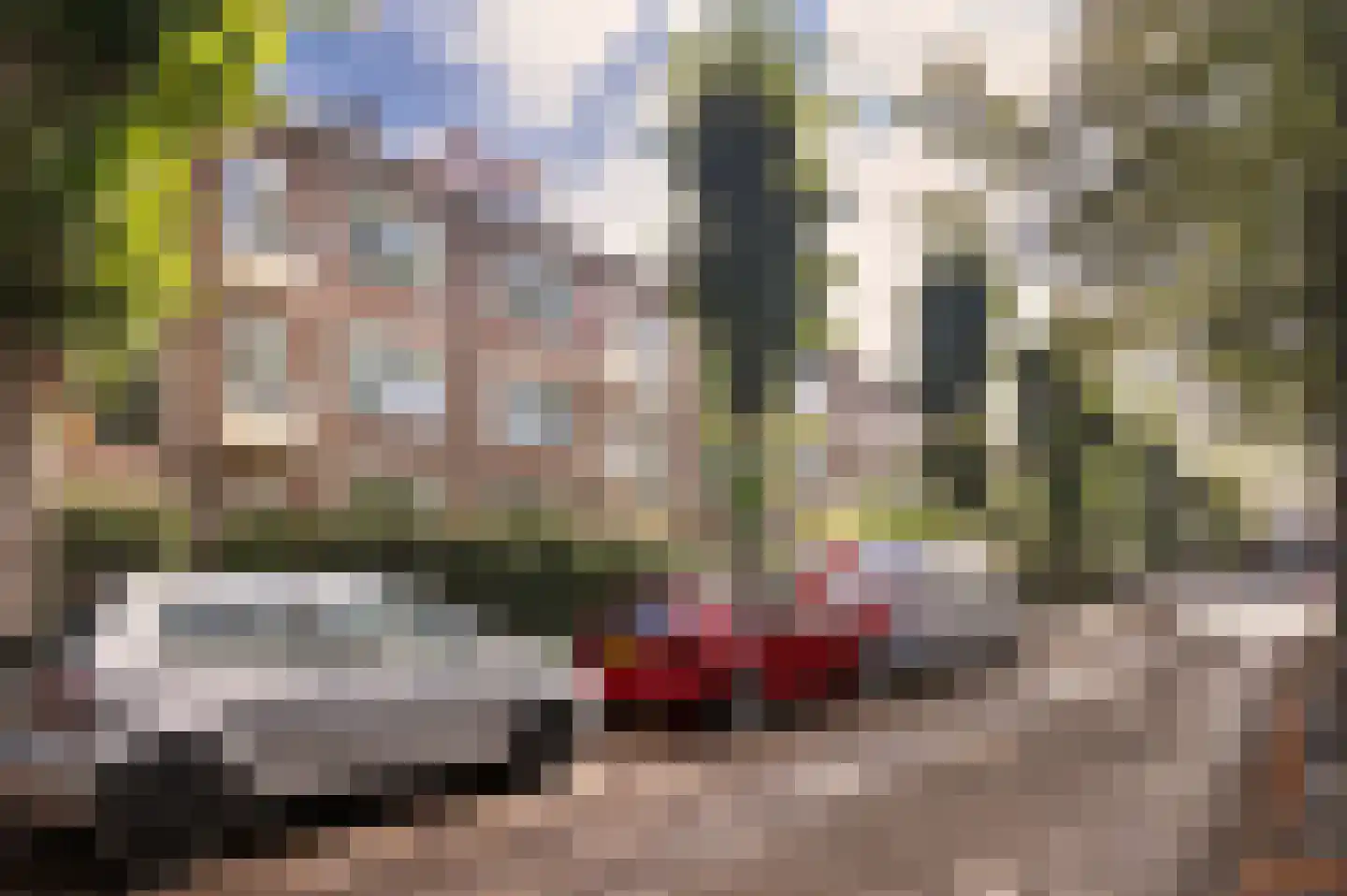 Cornelis Suyslaan 41 Rijswijk thumbnail 21