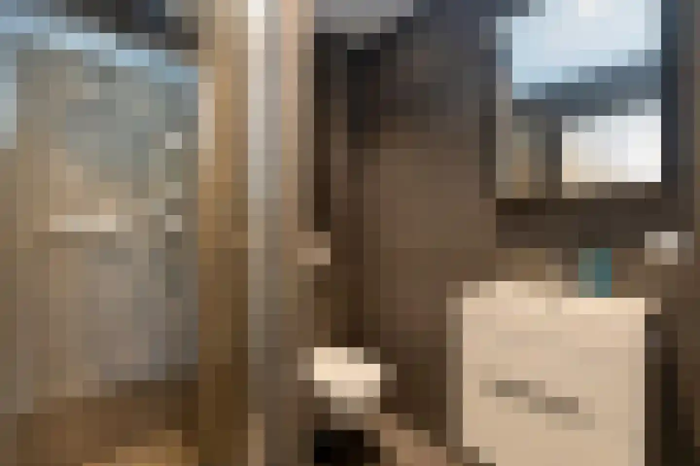 Cornelis Suyslaan 41 Rijswijk thumbnail 4