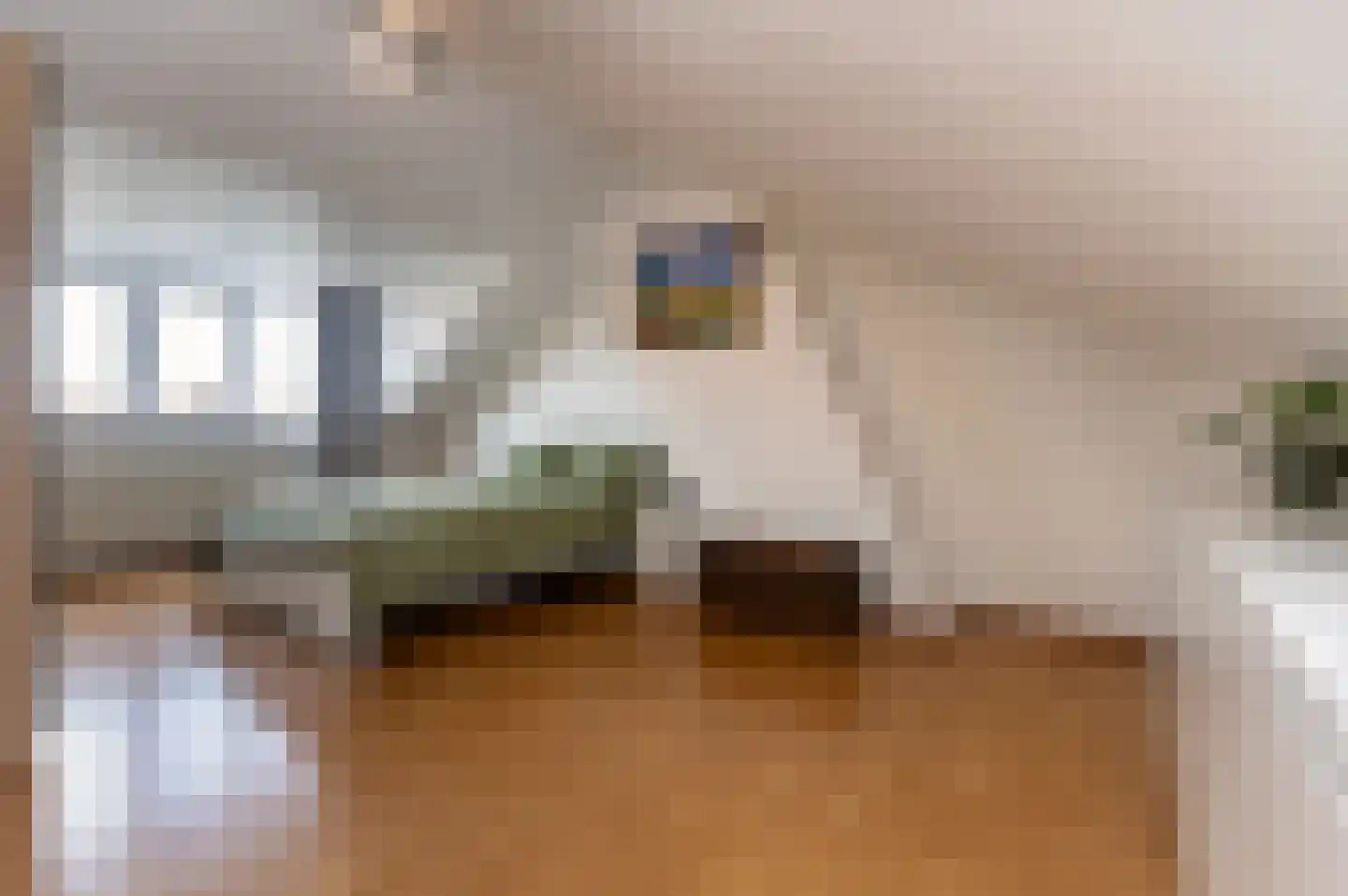 Cornelis Suyslaan 41 Rijswijk thumbnail 5