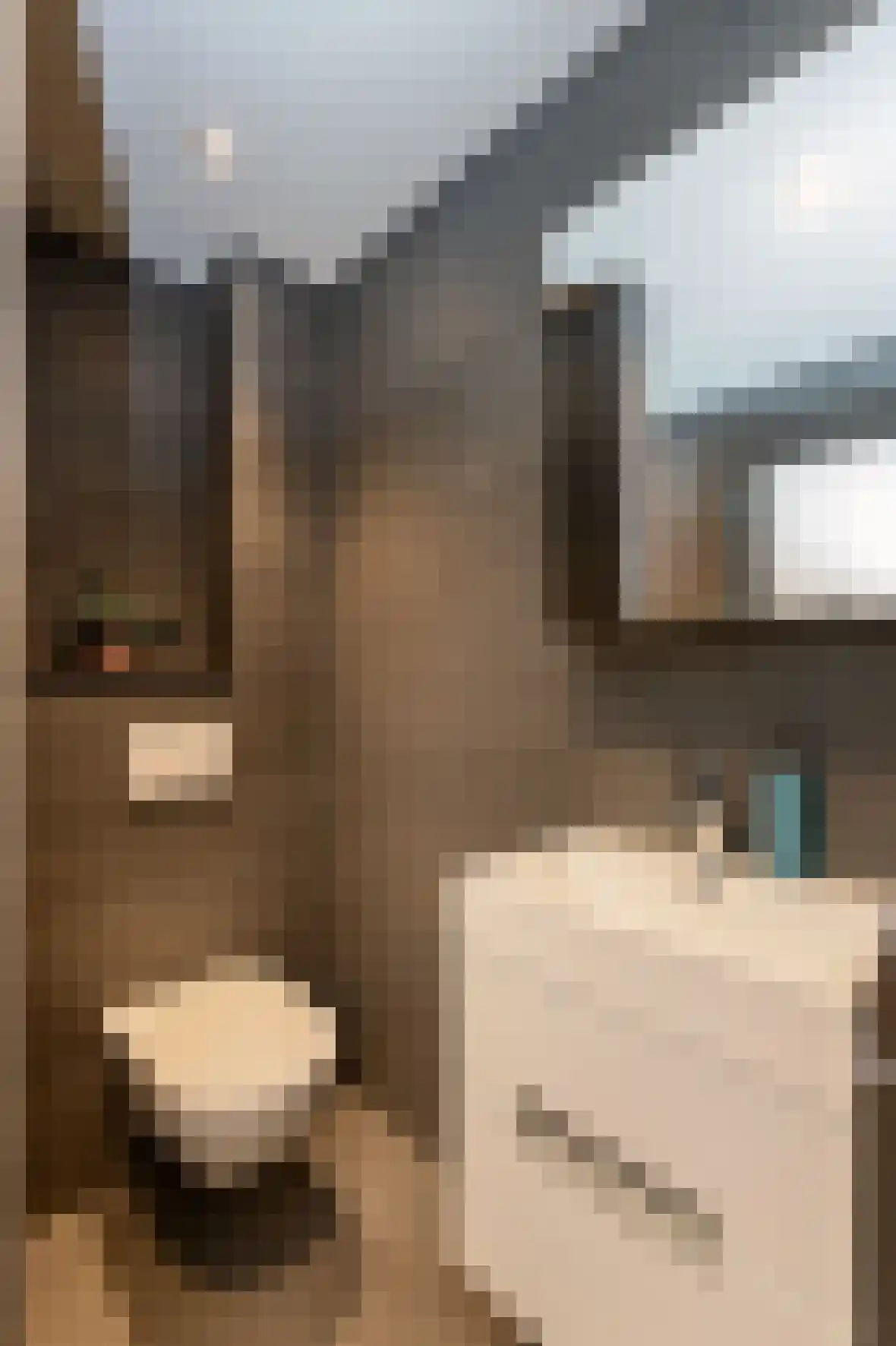 Cornelis Suyslaan 41 Rijswijk thumbnail 7