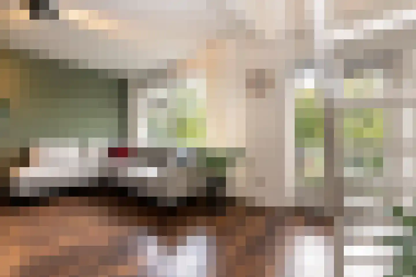 Cornelis Suyslaan 41 Rijswijk thumbnail 9