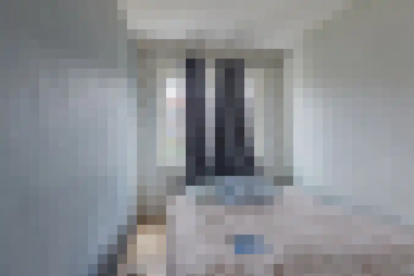 Cornelis Suyslaan 42 Rijswijk thumbnail 8