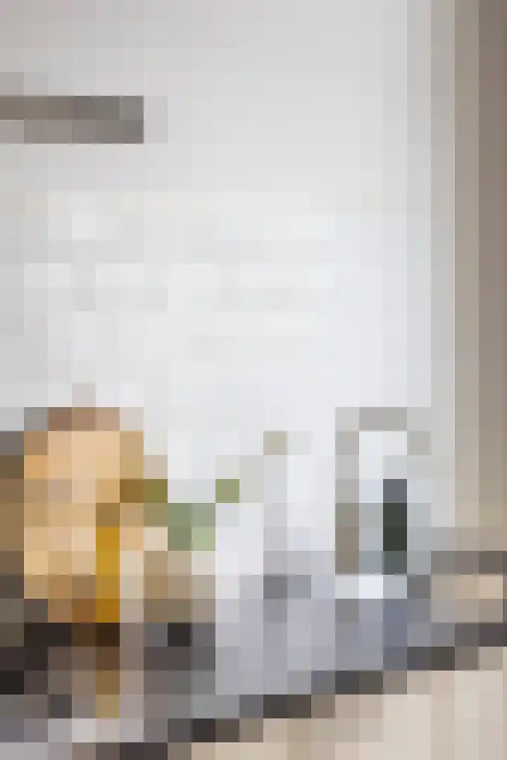 Cornelis Trompstraat 1 Rotterdam thumbnail 12