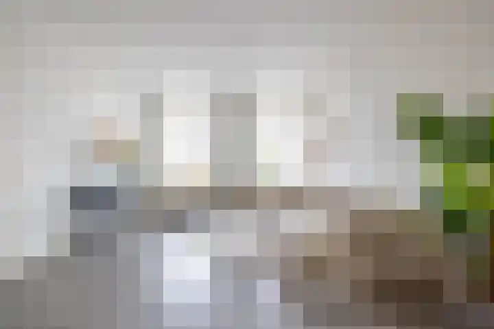 Cornelis Trompstraat 1 Rotterdam thumbnail 7