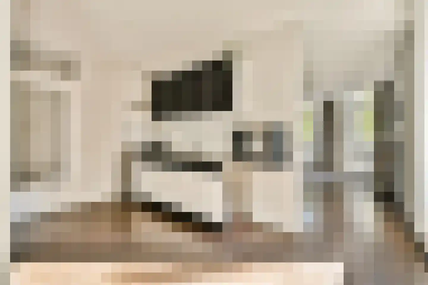 Cornelis Trompstraat 12 Rotterdam thumbnail 10