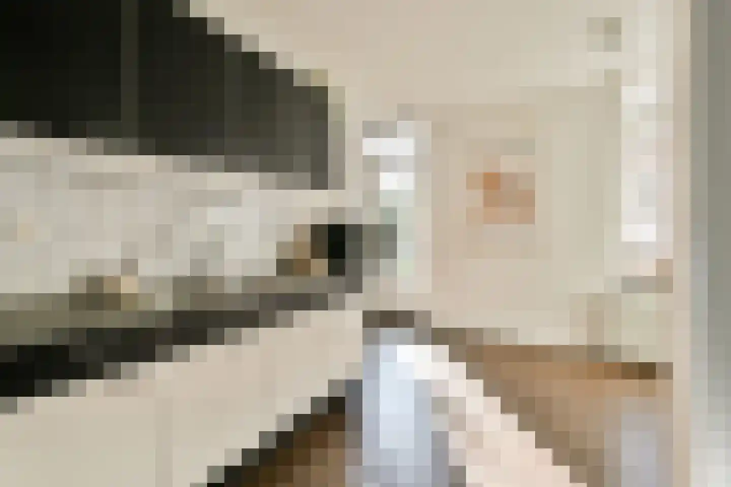 Cornelis Trompstraat 12 Rotterdam thumbnail 11