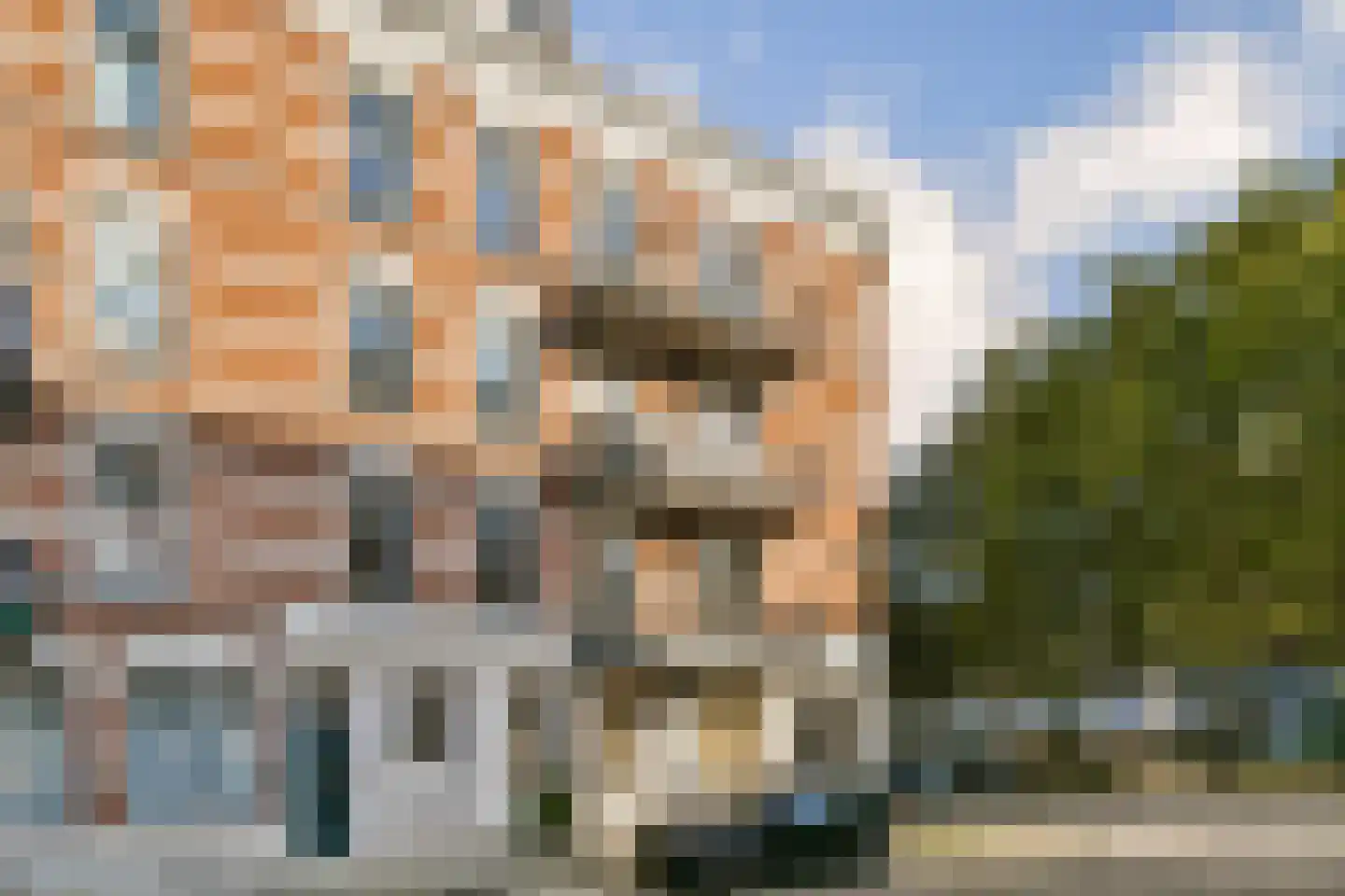 Cornelis Trompstraat 12 Rotterdam thumbnail 20