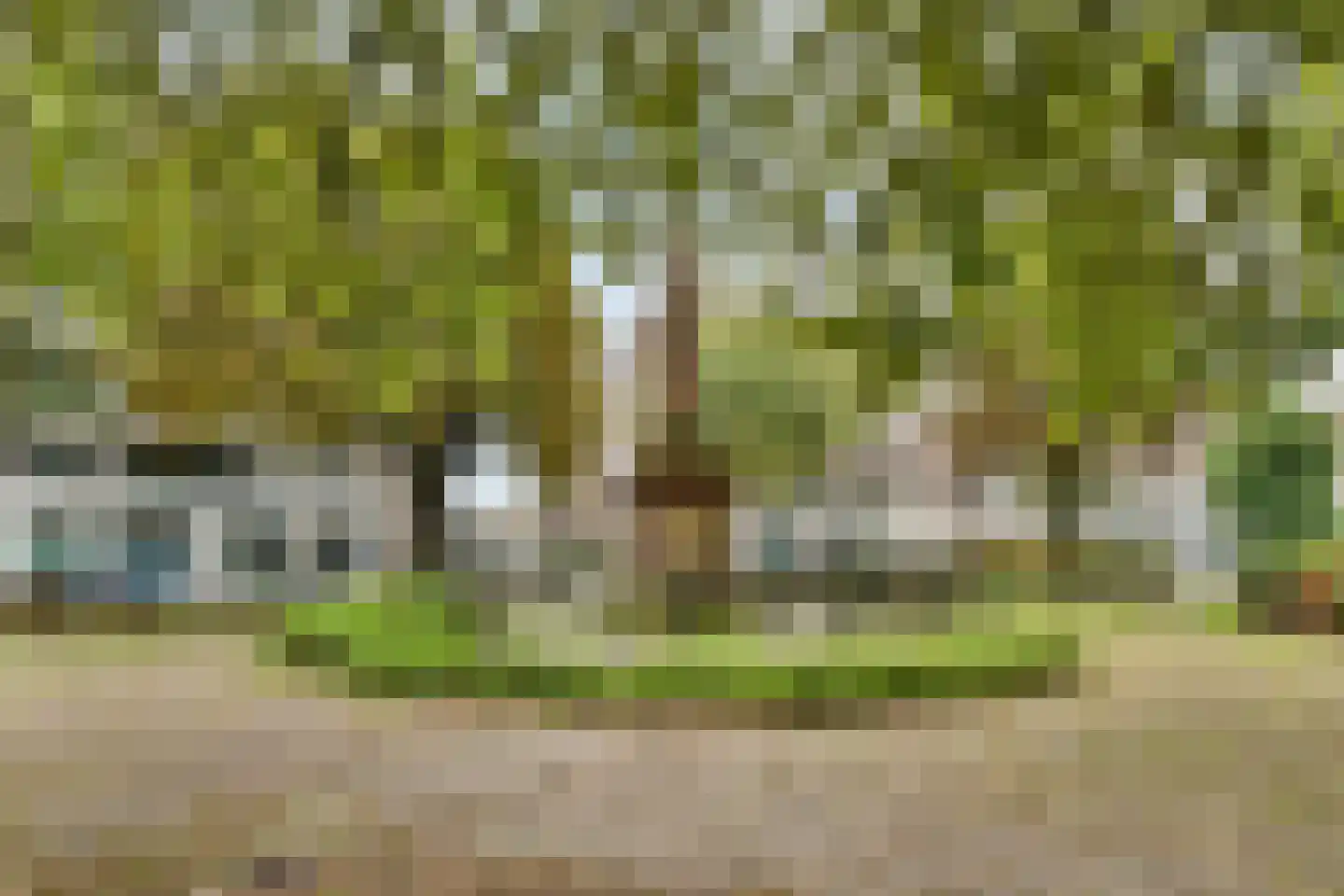 Cornelis Trompstraat 12 Rotterdam thumbnail 21