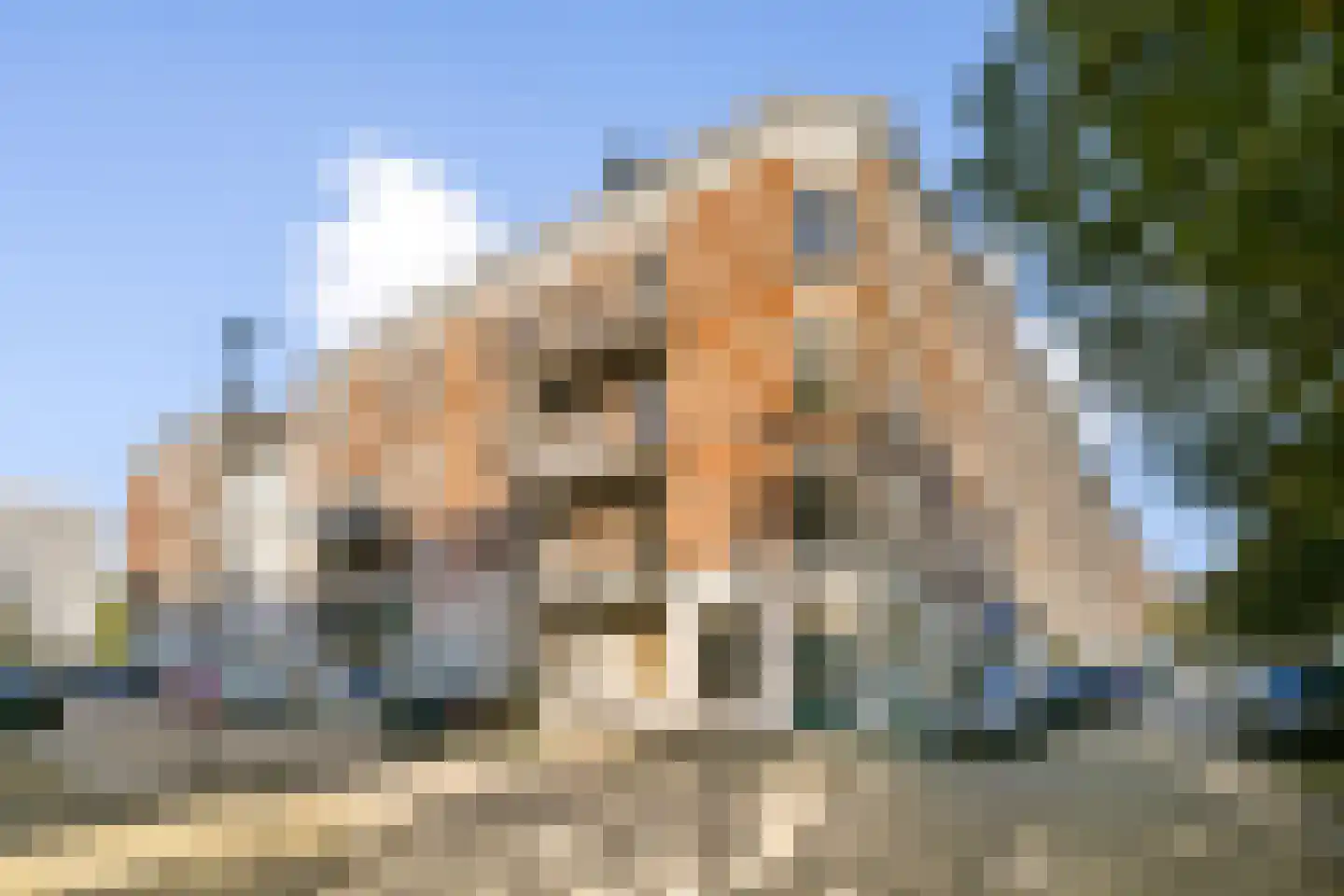 Cornelis Trompstraat 12 Rotterdam thumbnail 6